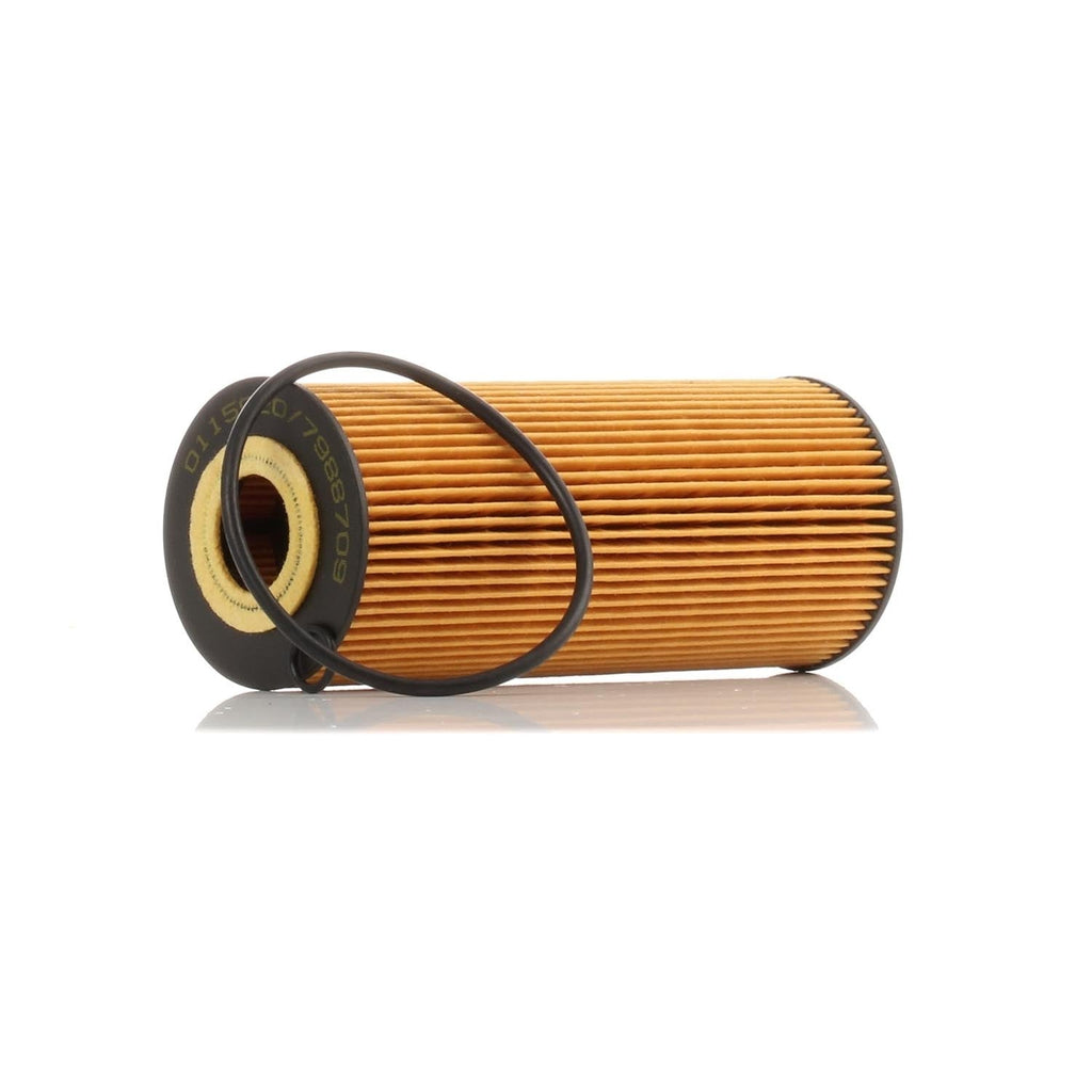 Filtro De Aceite Volkswagen Crafter 2.5 Tdi
