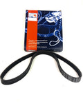 Banda Alternador Renault Clio Platina Kangoo (S/A)